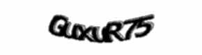 Security check image, please type the characters shown