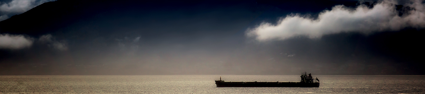 Intersleek 1100SR Products International